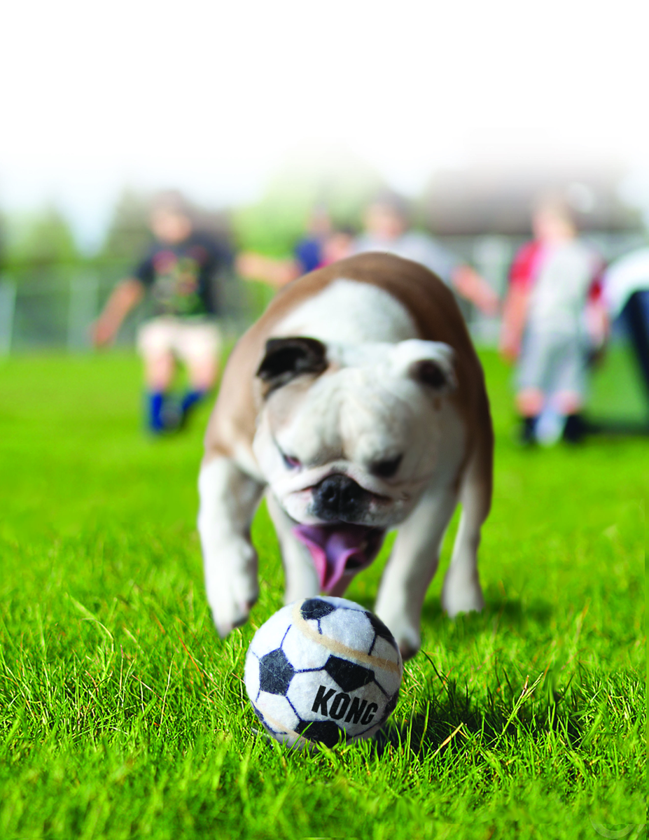 Kong Sport Balls Small (3pk) (assorted)