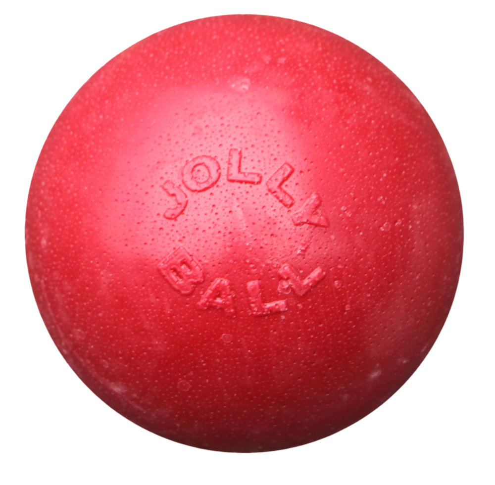 Jolly Ball Bounce-n Play 20cm Rood