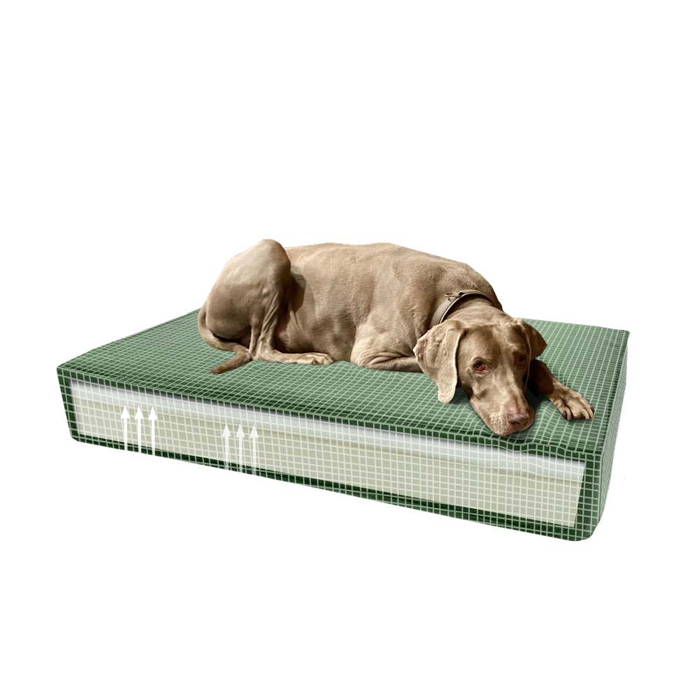 Madison Orthopedisch kussen Velvet groen S