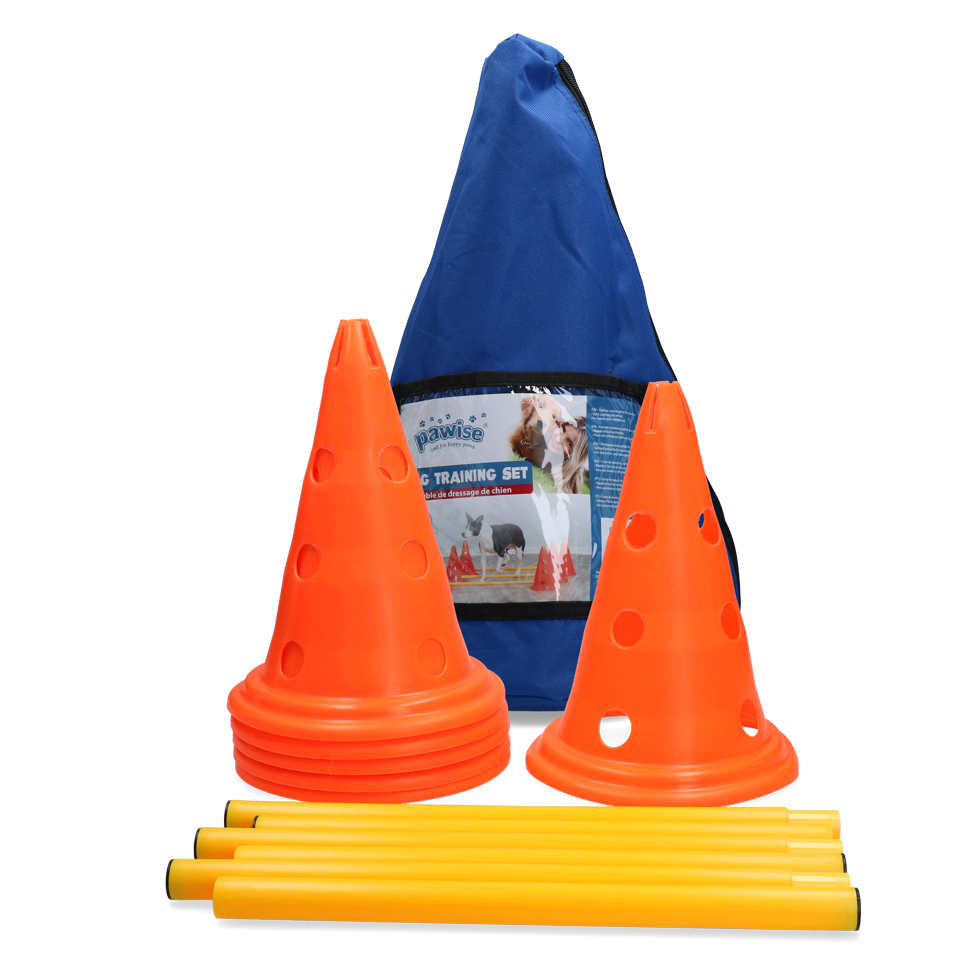 Pawise Dog Activity set