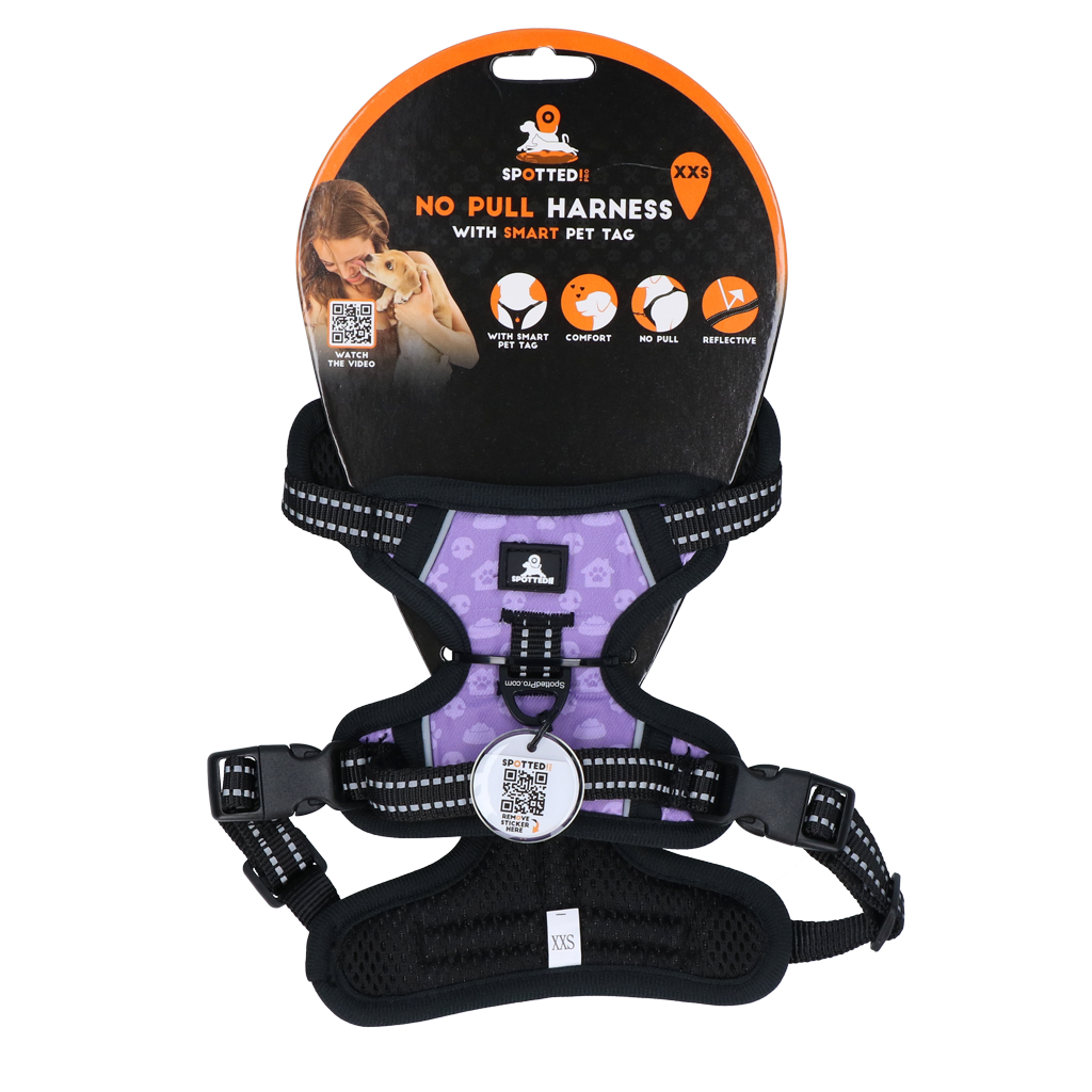 Spotted! PRO Harnas Paars XXS