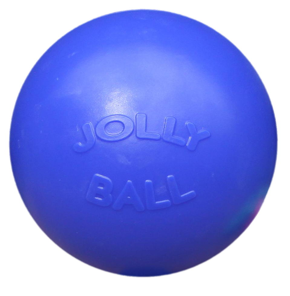 Jolly Ball Push-n-Play 25cm blauw