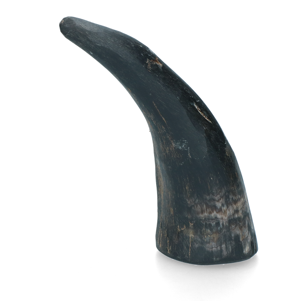 Viking whole Horn S