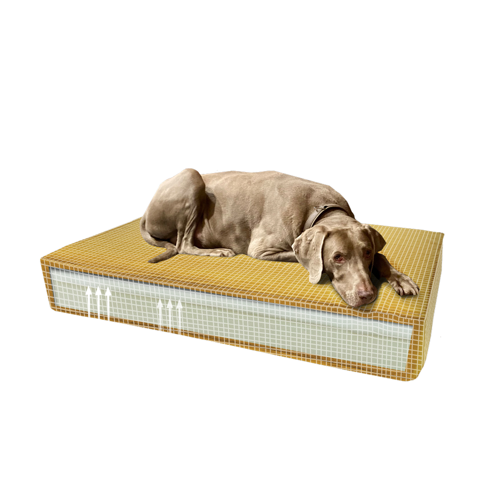 Madison Orthopedisch kussen Velvet geel S