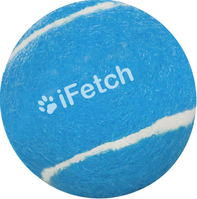 iFetch Too Balls