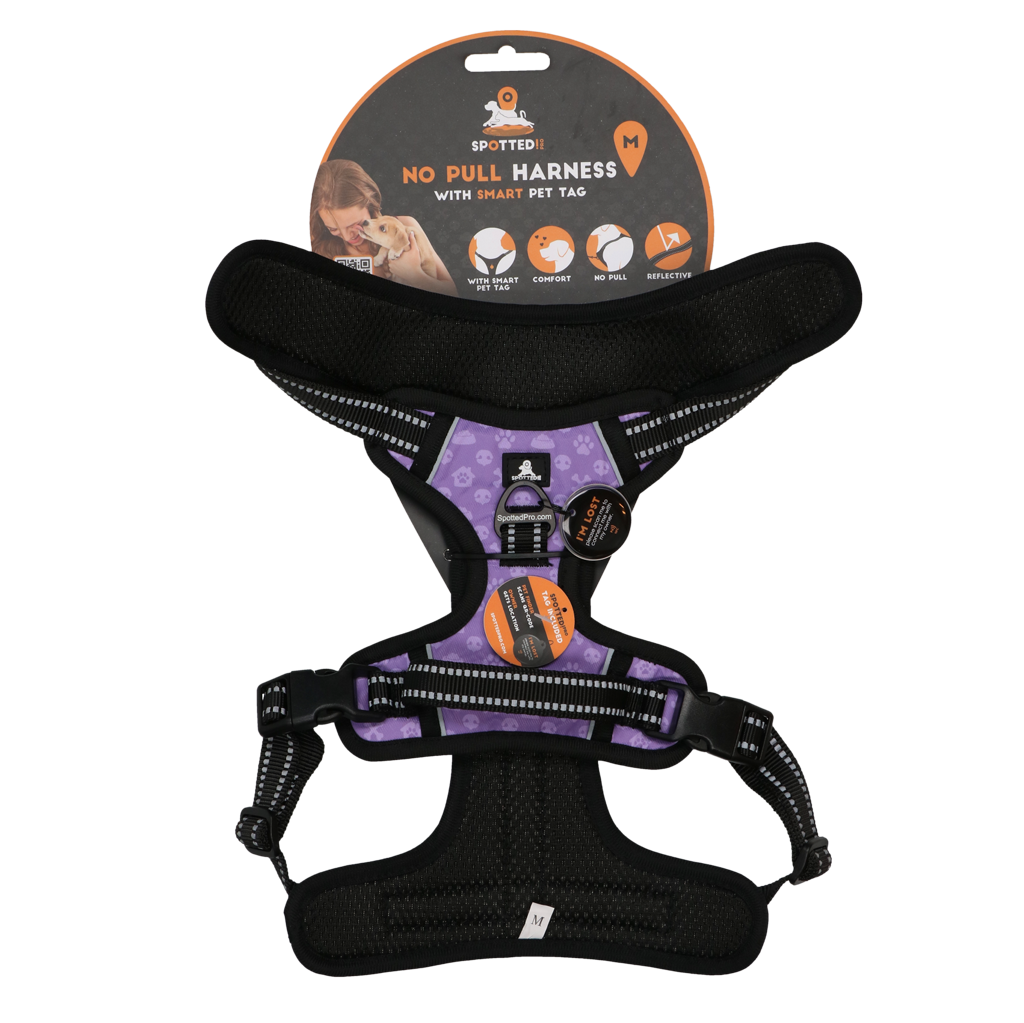 Spotted! PRO Harnas Paars M