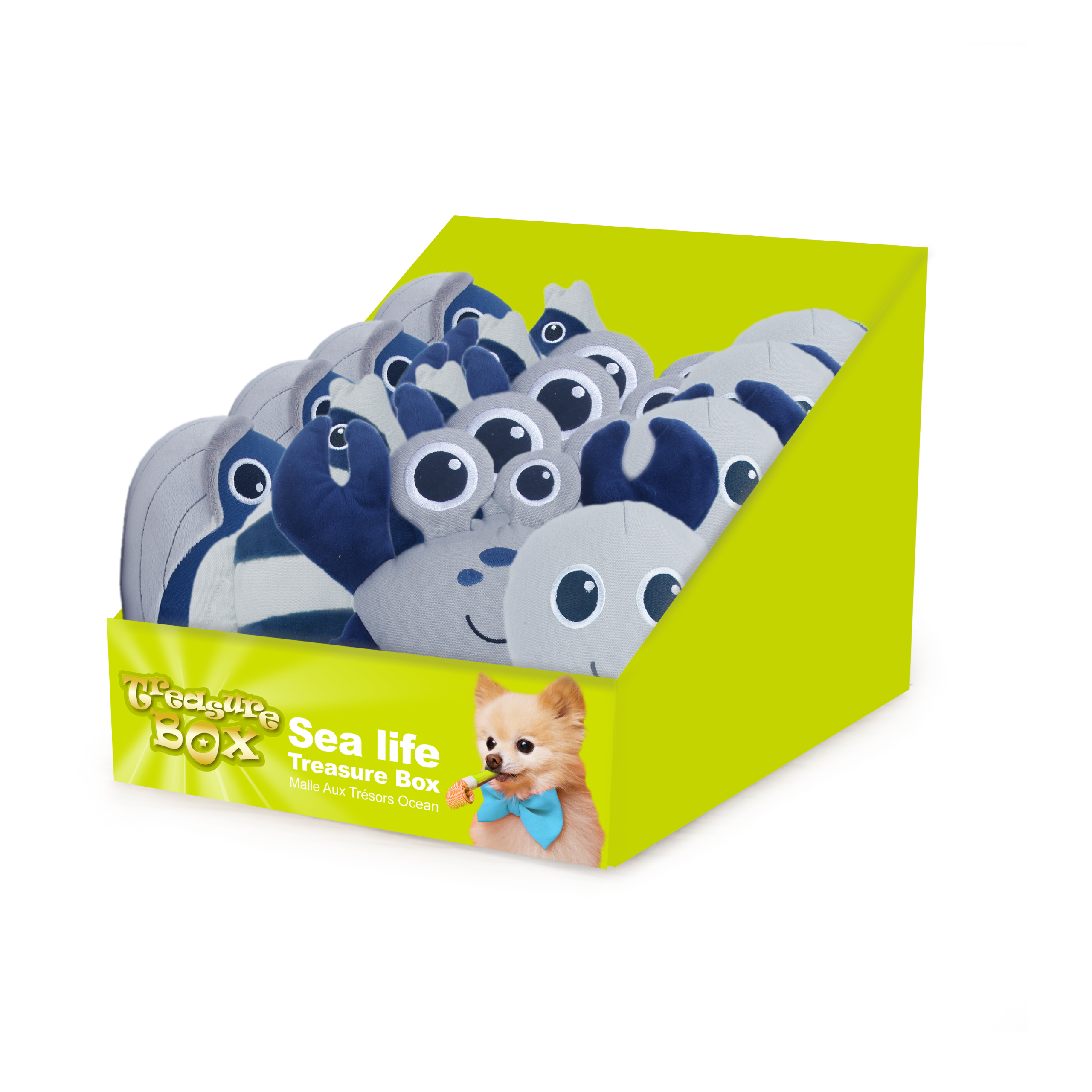 AFP Sea Life Treasure Box 24pcs