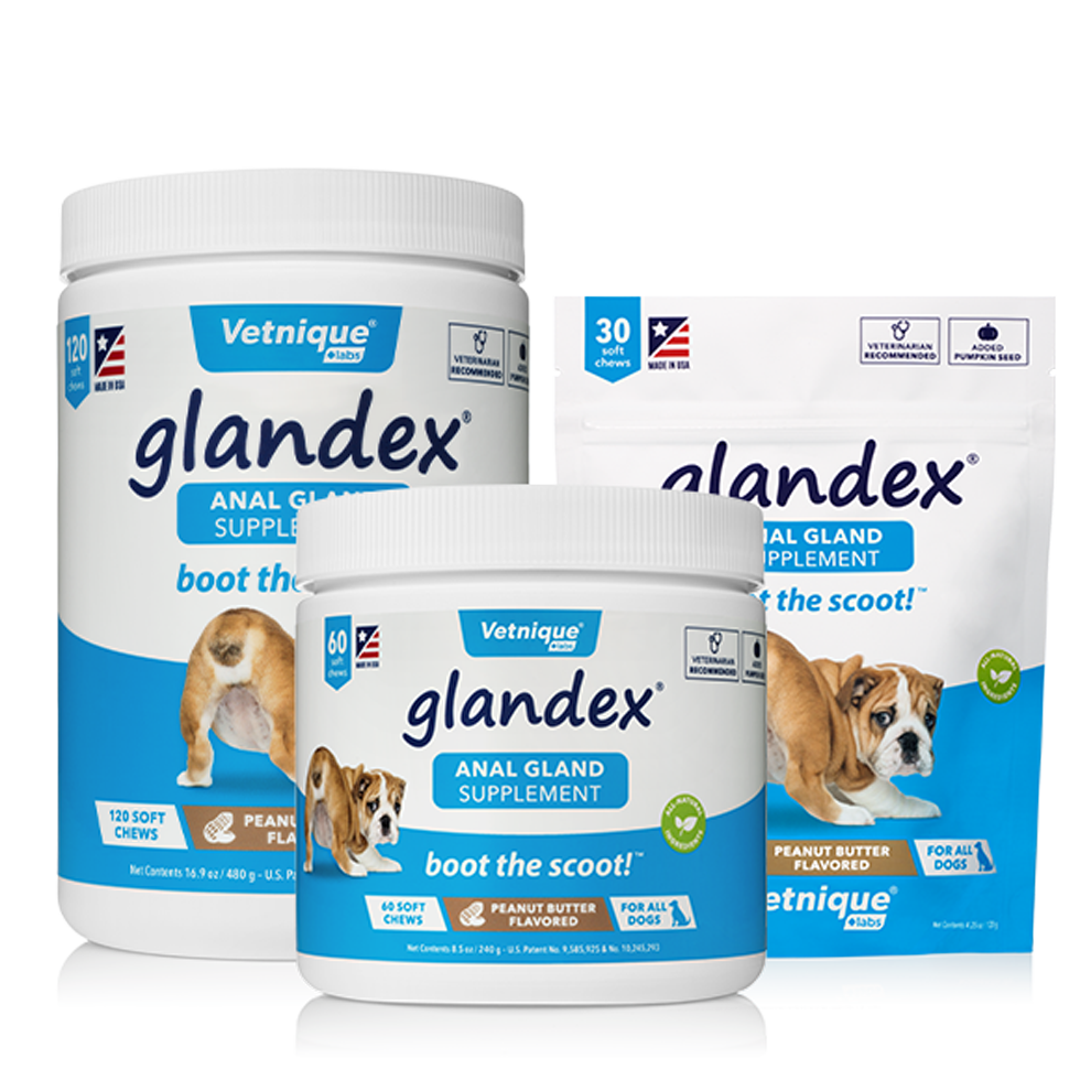Glandex Soft Chew 240 g (60 treats)
