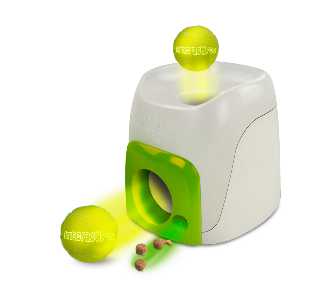 AFP Interactive Fetch'N Treat