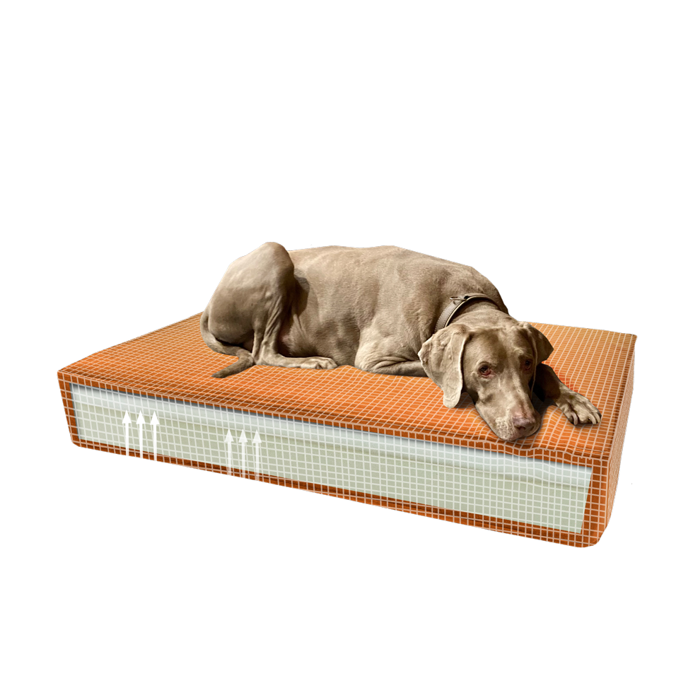 Madison Orthopedisch kussen Velvet oranje S