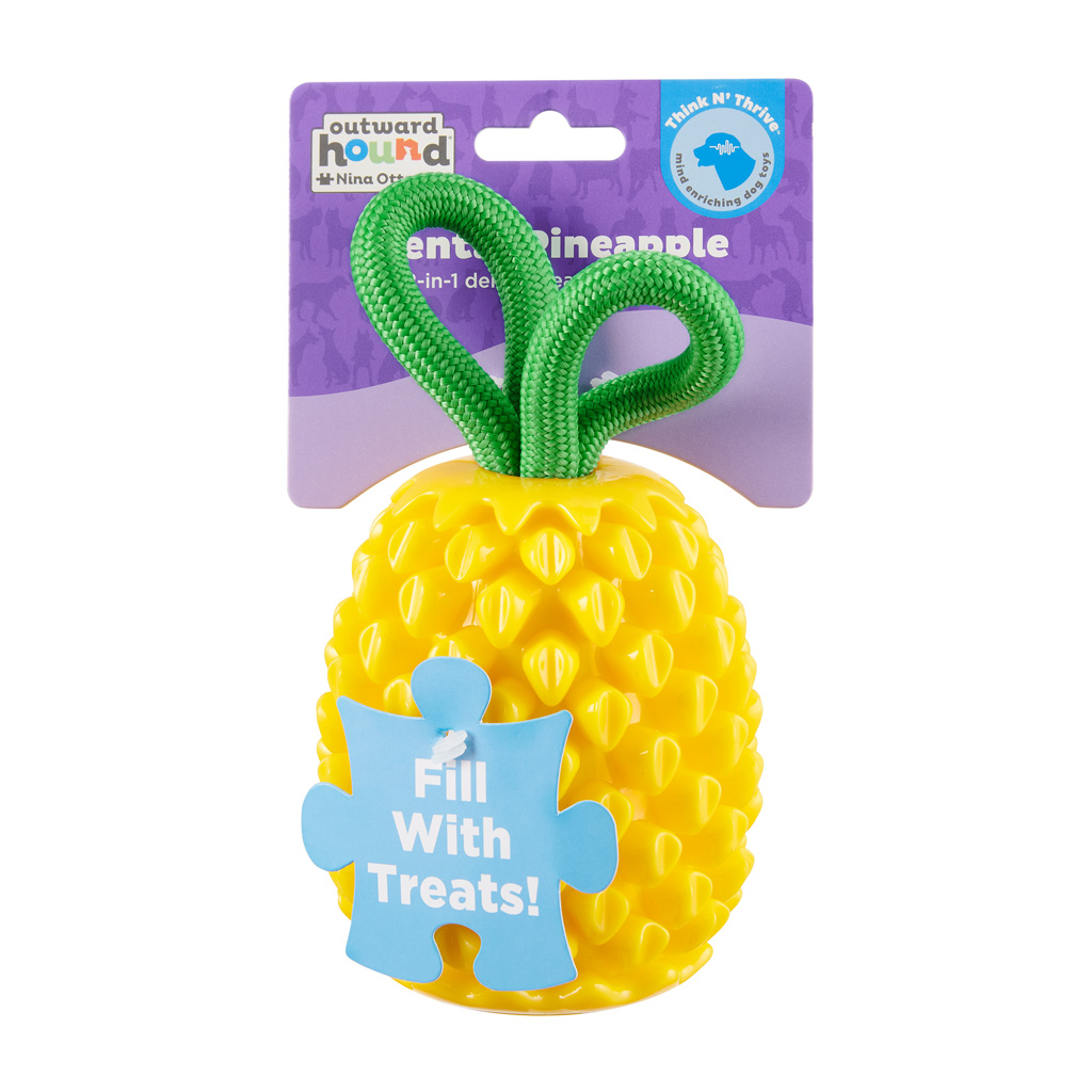 Outward Dental Pineapple TNT Ylw
