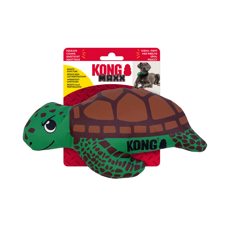 KONG Maxx Turtle Md
